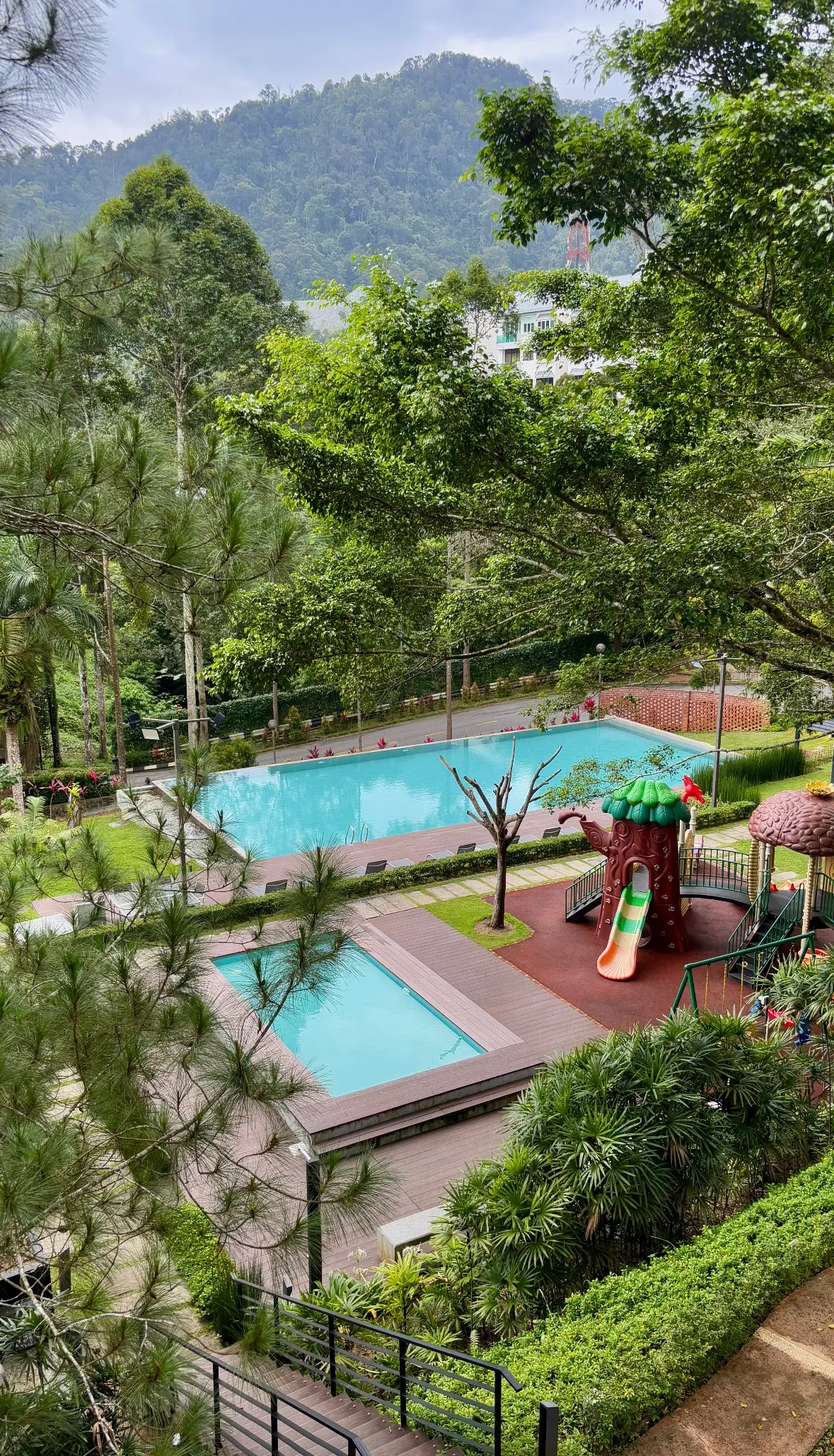 Swimming pool set among trees